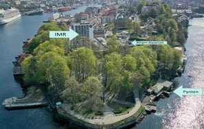 Map that shows location Norwegian Marine Institute, Pynten, Nordnes, Bergen